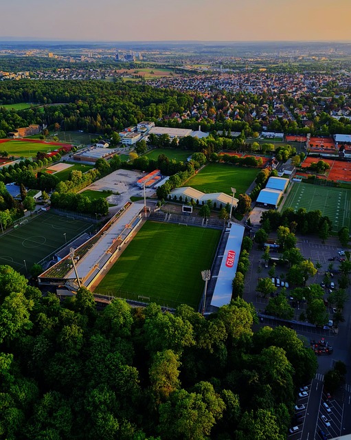 文章总结：曼城主场强势，桑德兰升班马表现稳定，曼城实力占优，但比赛难度大。