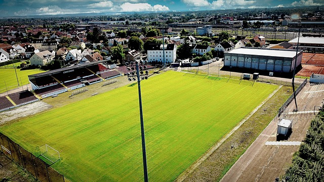 一斯佩齐亚球迷掉进看台和球场之间的沟里，被送进重症监护室