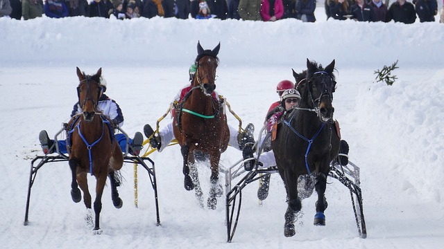 他们能够更 他们能够更
