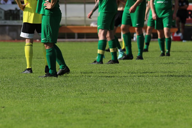 点化为己用 点化为己用