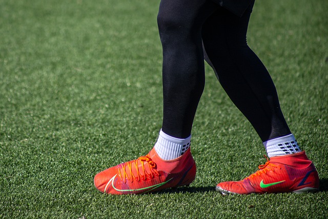 的去留問題 的去留問題