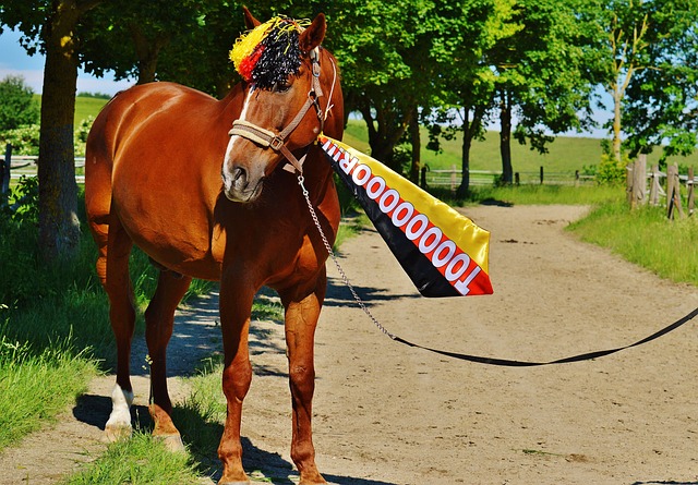 他也经历过 他也经历过