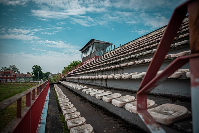 隐藏着公牛 隐藏着公牛