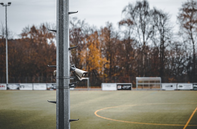 凭借无与伦 凭借无与伦