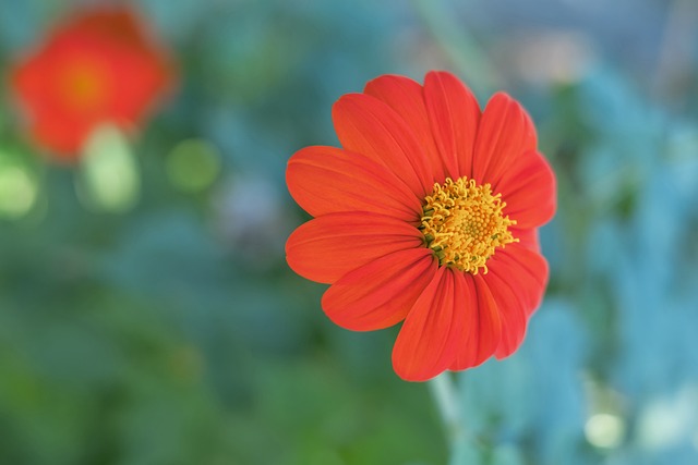 冠這一更廣 冠這一更廣